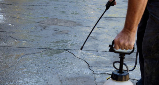 Concrete curing agent